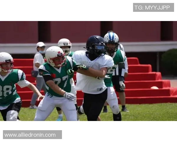 深圳排球队的拼搏之路欧锦赛背后的奋斗故事与荣耀时刻