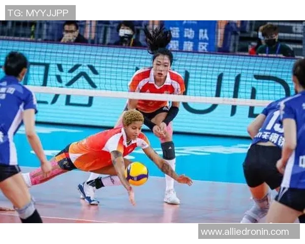 深度对话赵强的排球人生与梦想追逐的心路历程 深度对话赵强的排球人生与梦想追逐的心路历程