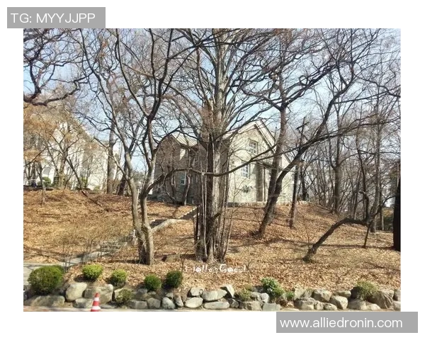 足球明星罗彬的传奇人生与辉煌成就全景介绍