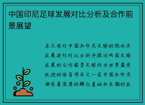 中国印尼足球发展对比分析及合作前景展望