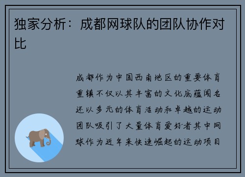 独家分析：成都网球队的团队协作对比