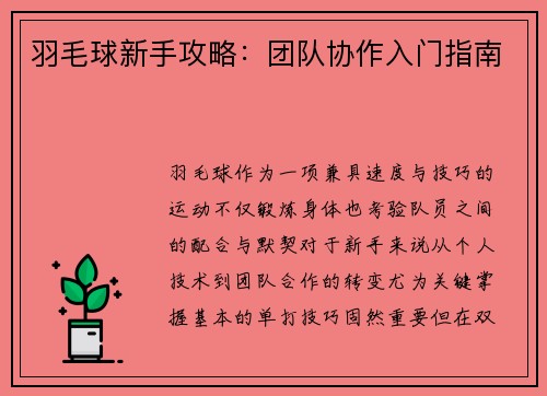 羽毛球新手攻略：团队协作入门指南