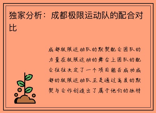 独家分析：成都极限运动队的配合对比